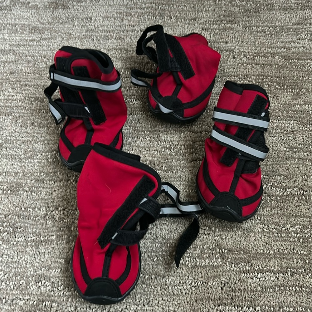 Dog Boots and MORE 🐕 🥾